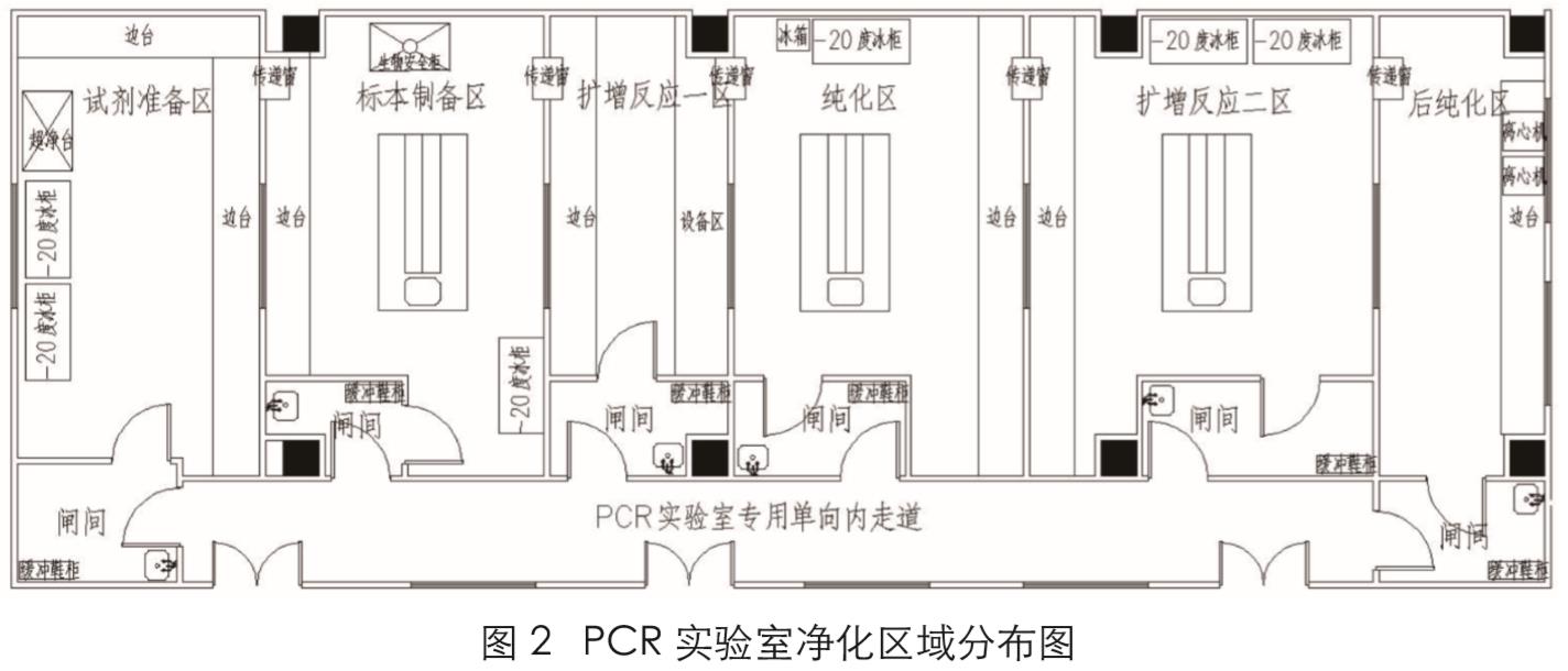 PCR实验室设计图